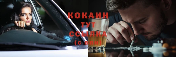 шишки Вяземский