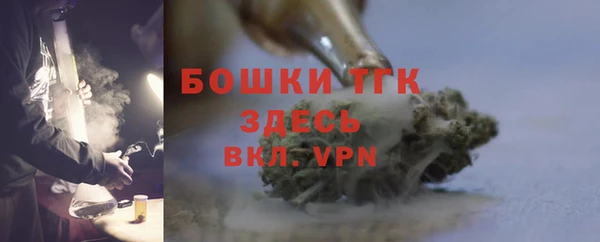 шишки Вяземский