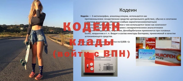 шишки Вяземский