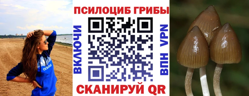 наркота Печора Галлюциногенные грибы прущие грибы